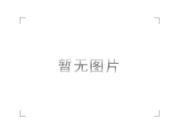 代表委员与青少年畅谈绿色网络发展